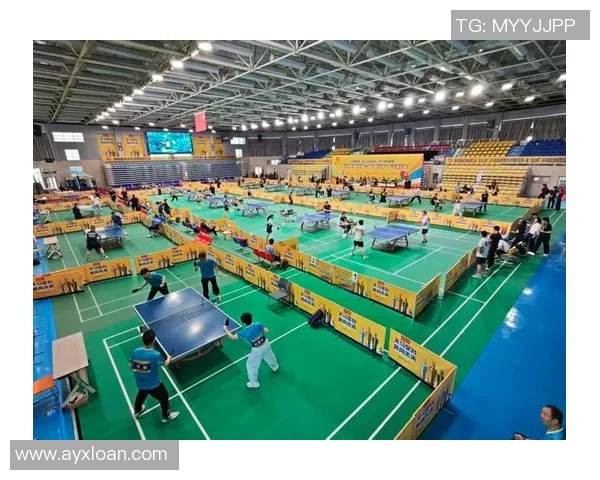 北京乒乓球队意识变革引发热议推动乒乓球发展新方向